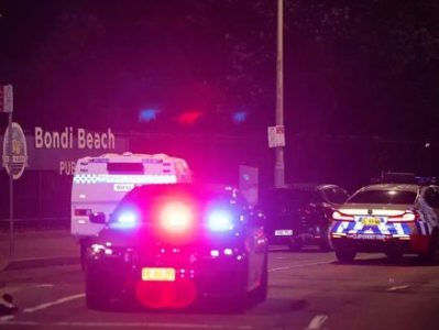 悉尼枪击事件嫌疑人是一对父子