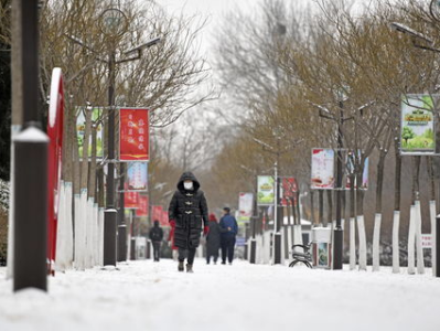 天津飘雪，银装素裹的冬日画卷