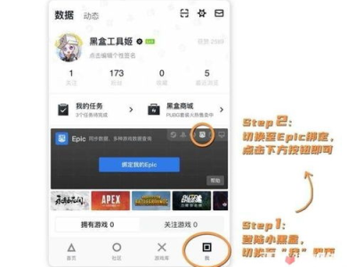 小黑盒崩塌：揭秘科技巨头背后的危机