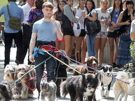 意外放生：这不是遛狗，这是环保新风尚？